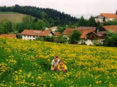 Ferienwohnung Sonja Prackenbach 0*,  Duitsland